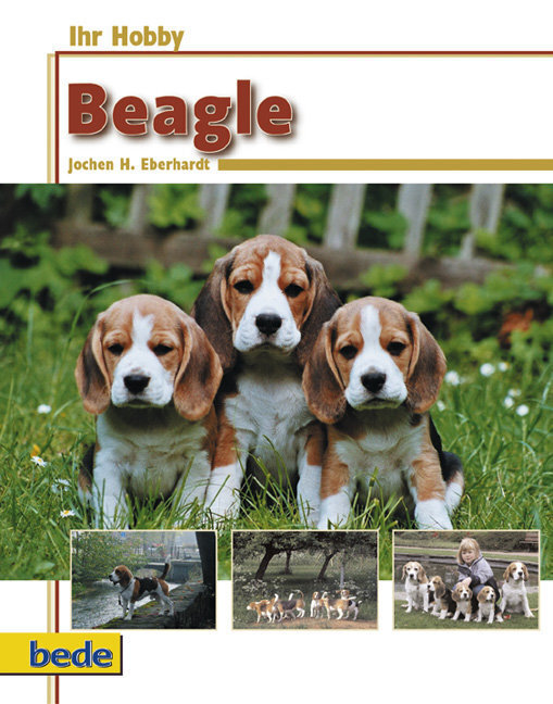 Ihr Hobby Beagle - Eberhardt, Jochen H.
