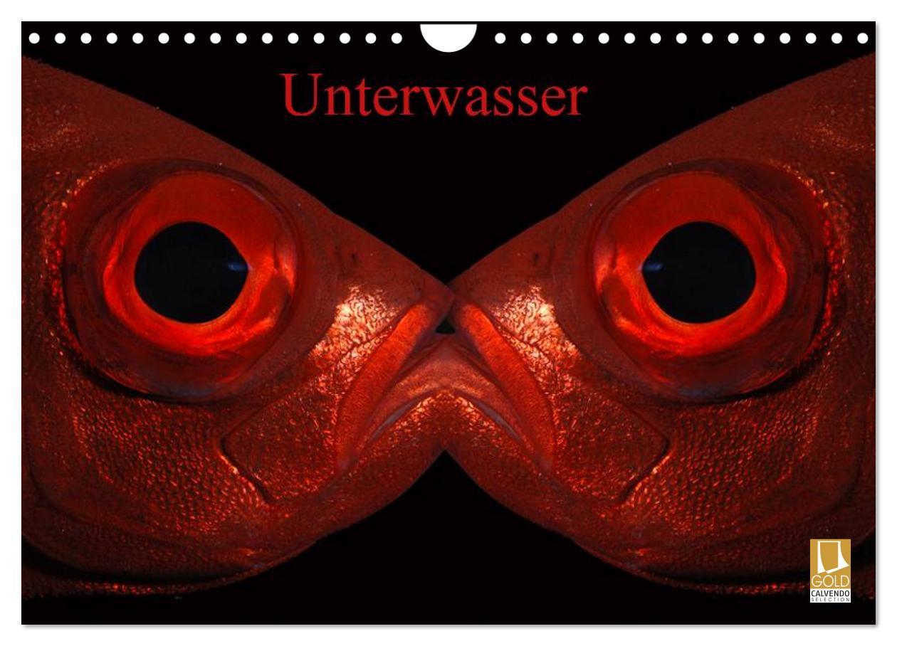 Cover: 9783435661916 | Unterwasser (Wandkalender 2025 DIN A4 quer), CALVENDO Monatskalender