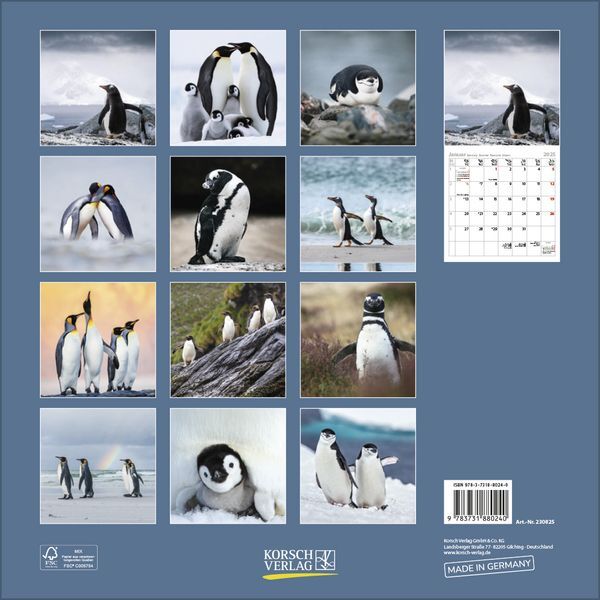 Bild: 9783731880240 | Pinguine 2025 | Korsch Verlag | Kalender | Englisch Broschur | 13 S.