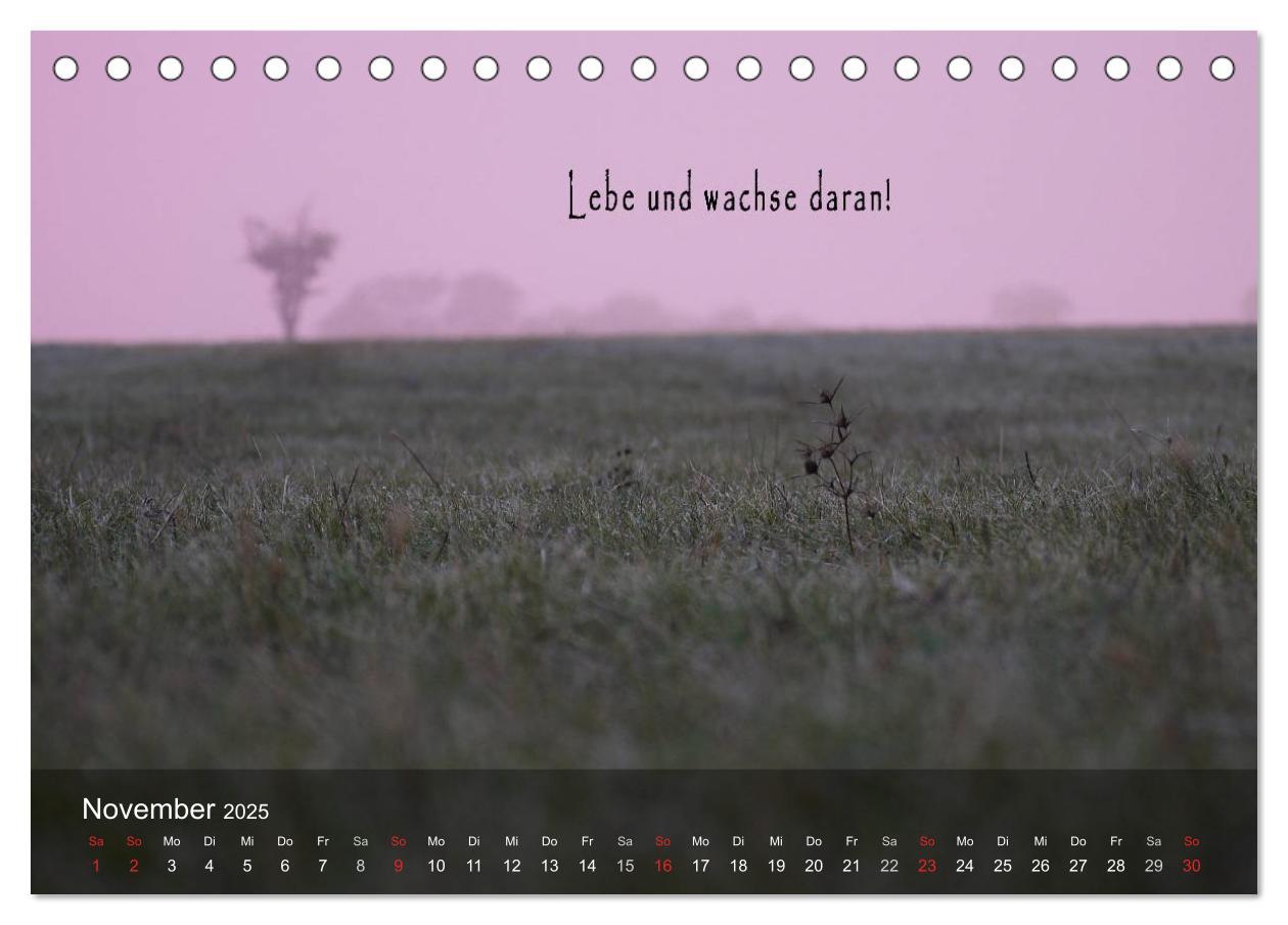 Bild: 9783435633562 | wunderschöne Lichtmomente (Tischkalender 2025 DIN A5 quer),...