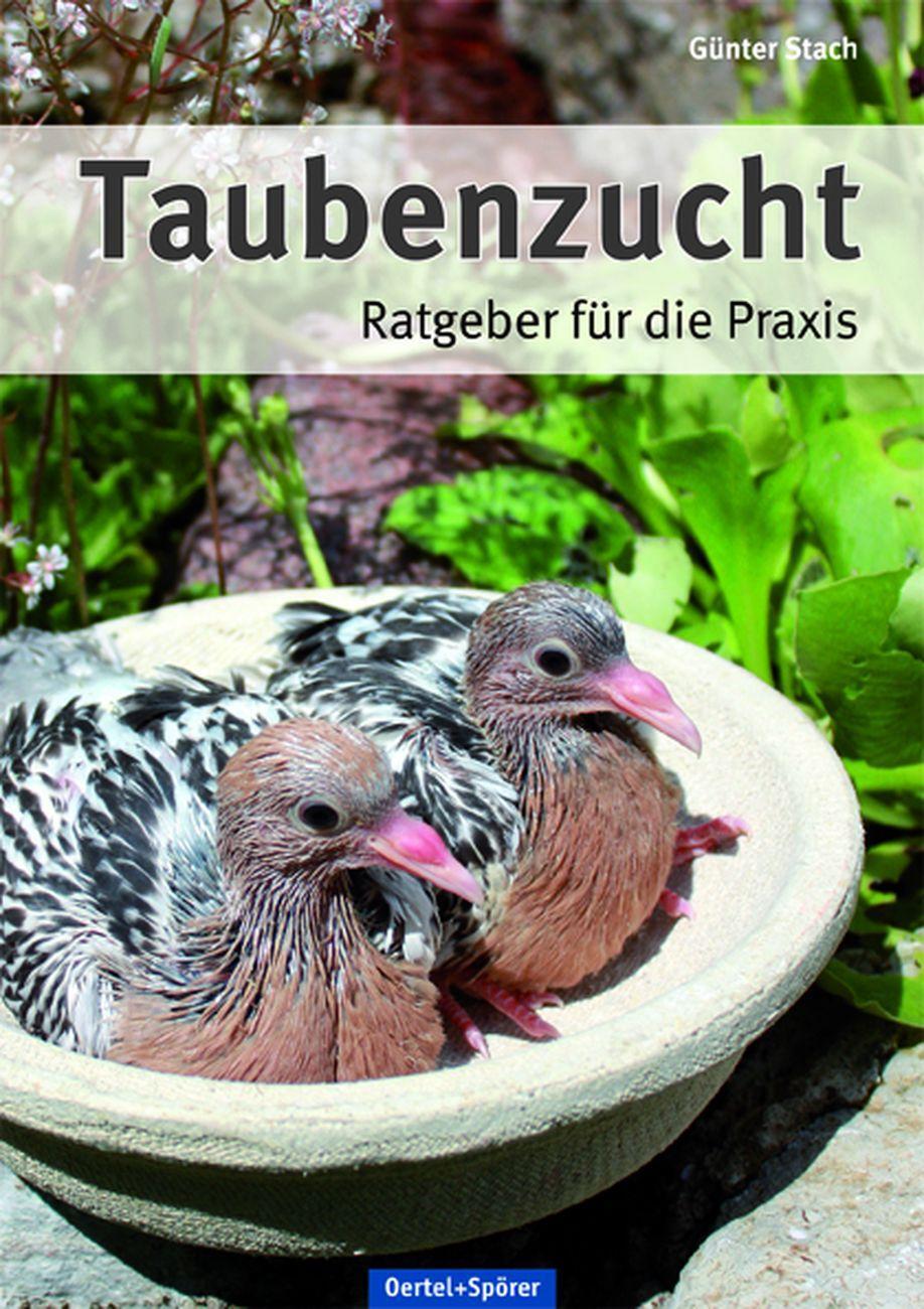 Cover: 9783886276356 | Taubenzucht | Ratgeber für die Praxis | Günter Stach | Buch | Deutsch