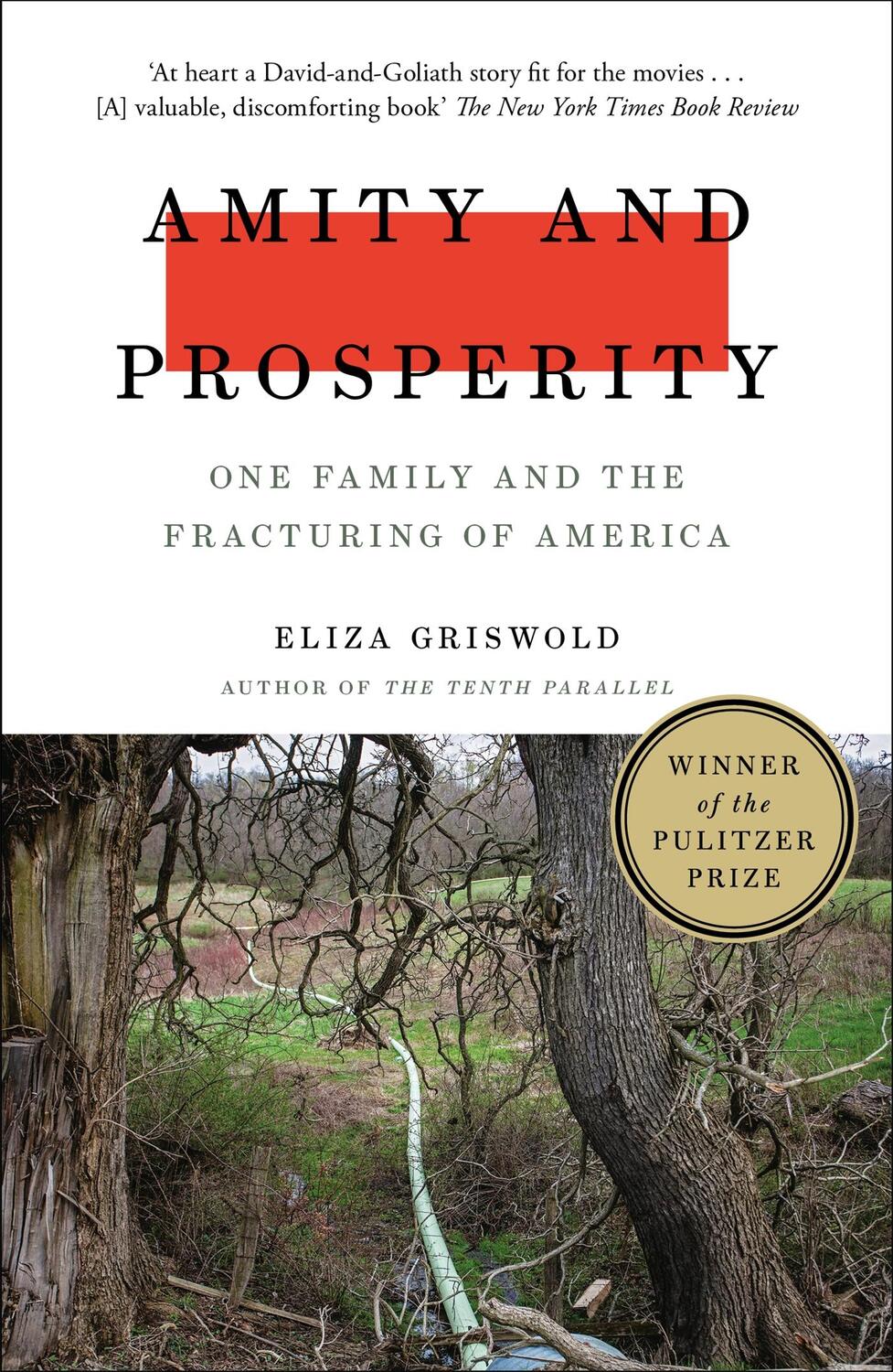 Cover: 9781472268723 | Amity and Prosperity | Eliza Griswold | Taschenbuch | XVIII | Englisch