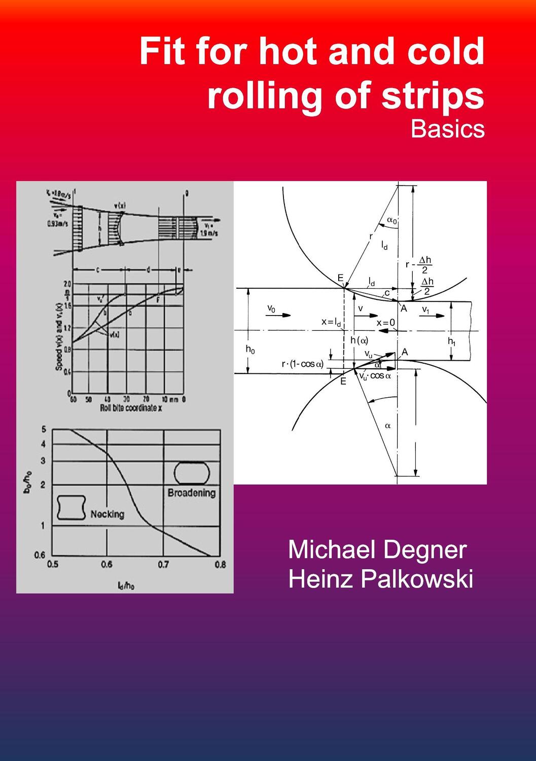 Cover: 9783981790405 | Fit for hot and cold rolling of strips - Basics | Palkowski (u. a.)