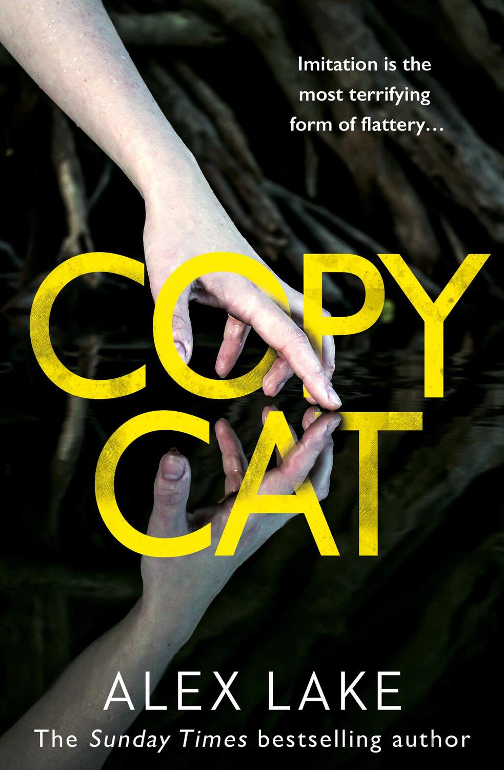 Cover: 9780008199746 | Copycat | Alex Lake | Taschenbuch | 416 S. | Englisch | 2017