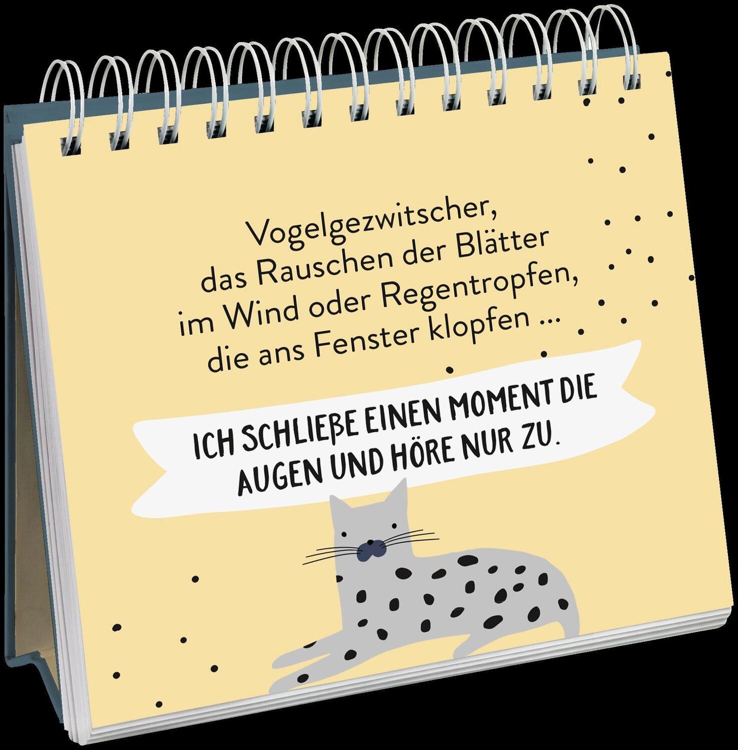 Bild: 9783848524143 | Cat philosophy | Entdecke die Katze in dir | Groh Verlag | Taschenbuch