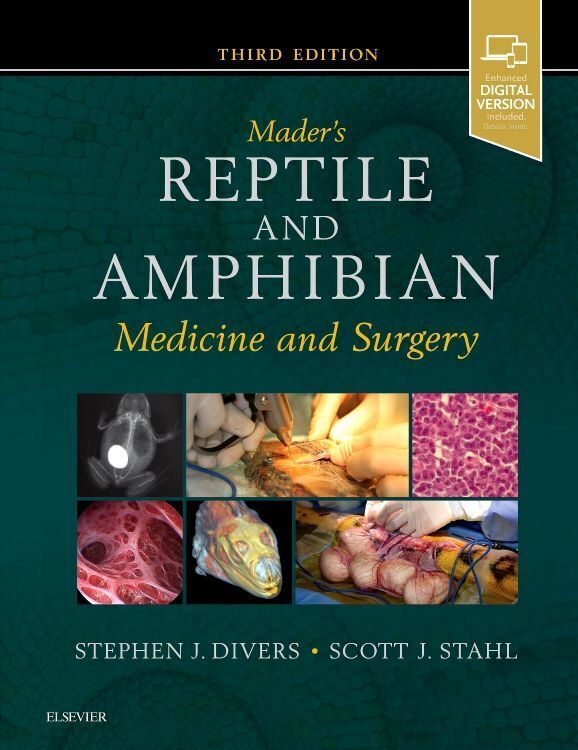 Cover: 9780323676618 | Mader's Reptile and Amphibian Medicine and Surgery | Divers (u. a.)