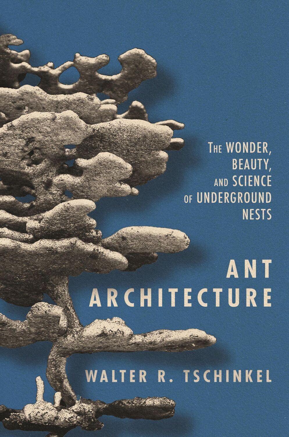 Cover: 9780691179315 | Ant Architecture | Walter R Tschinkel | Buch | Englisch | 2021