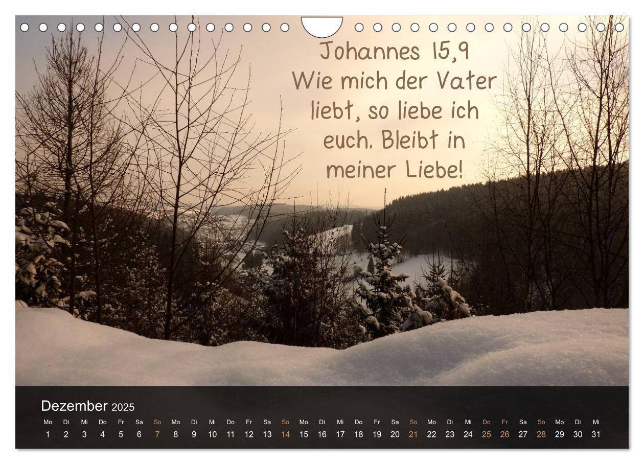 Bild: 9783435768240 | Schöpfung im Licht (Wandkalender 2025 DIN A4 quer), CALVENDO...