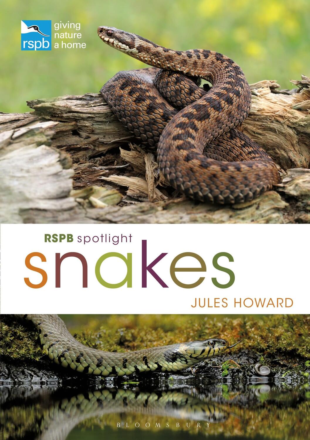 Cover: 9781472971692 | RSPB Spotlight Snakes | Jules Howard | Taschenbuch | RSPB | Englisch