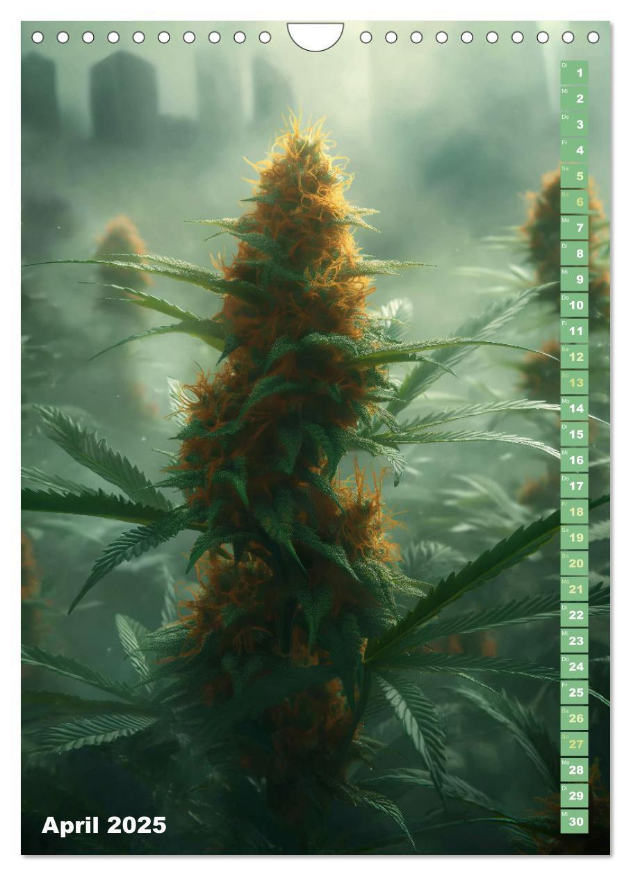 Bild: 9783383764660 | Rauschende Aussichten - Der ultimative Cannabis-Kalender...