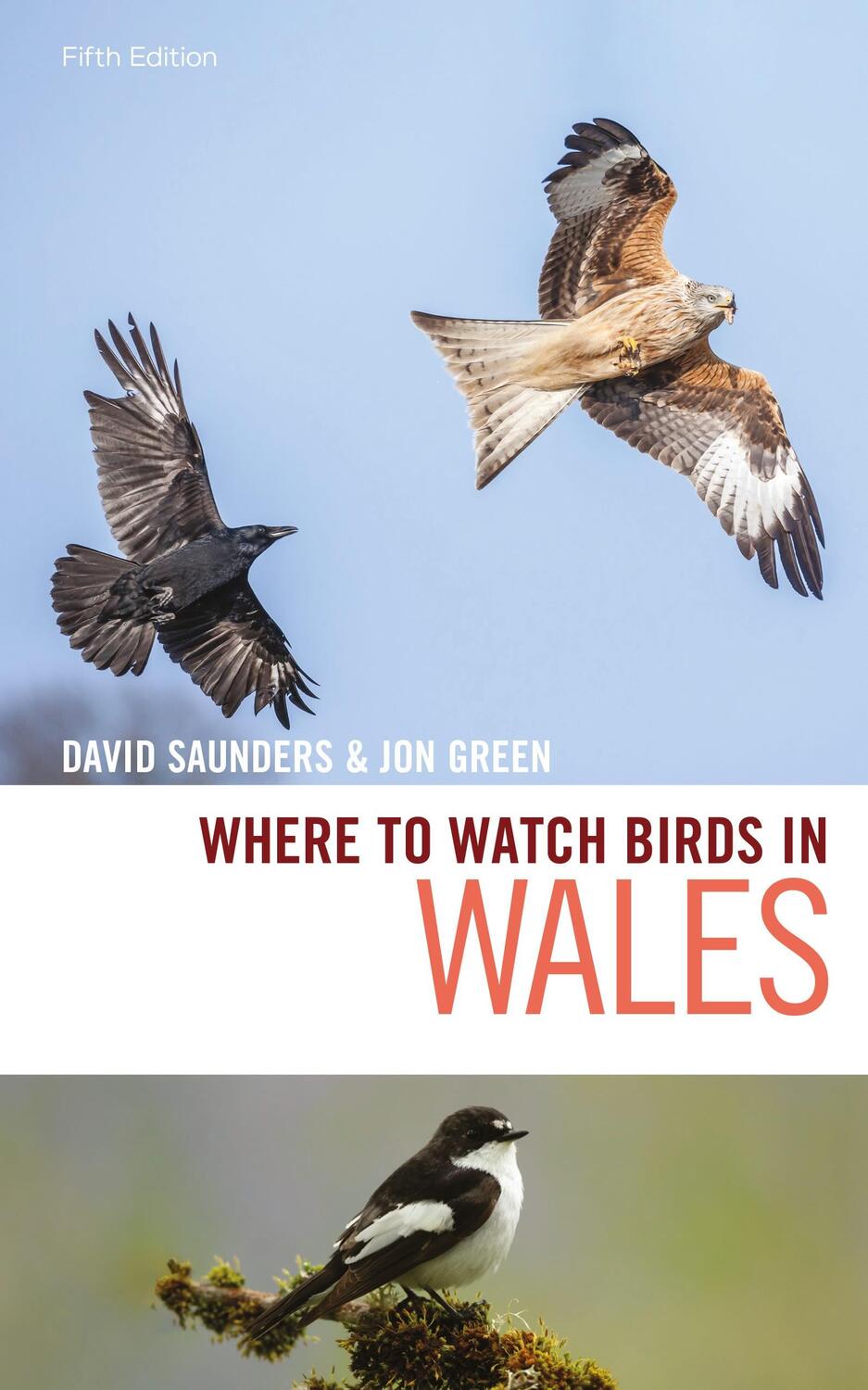 Cover: 9781472979513 | Where to Watch Birds in Wales | David Saunders (u. a.) | Taschenbuch