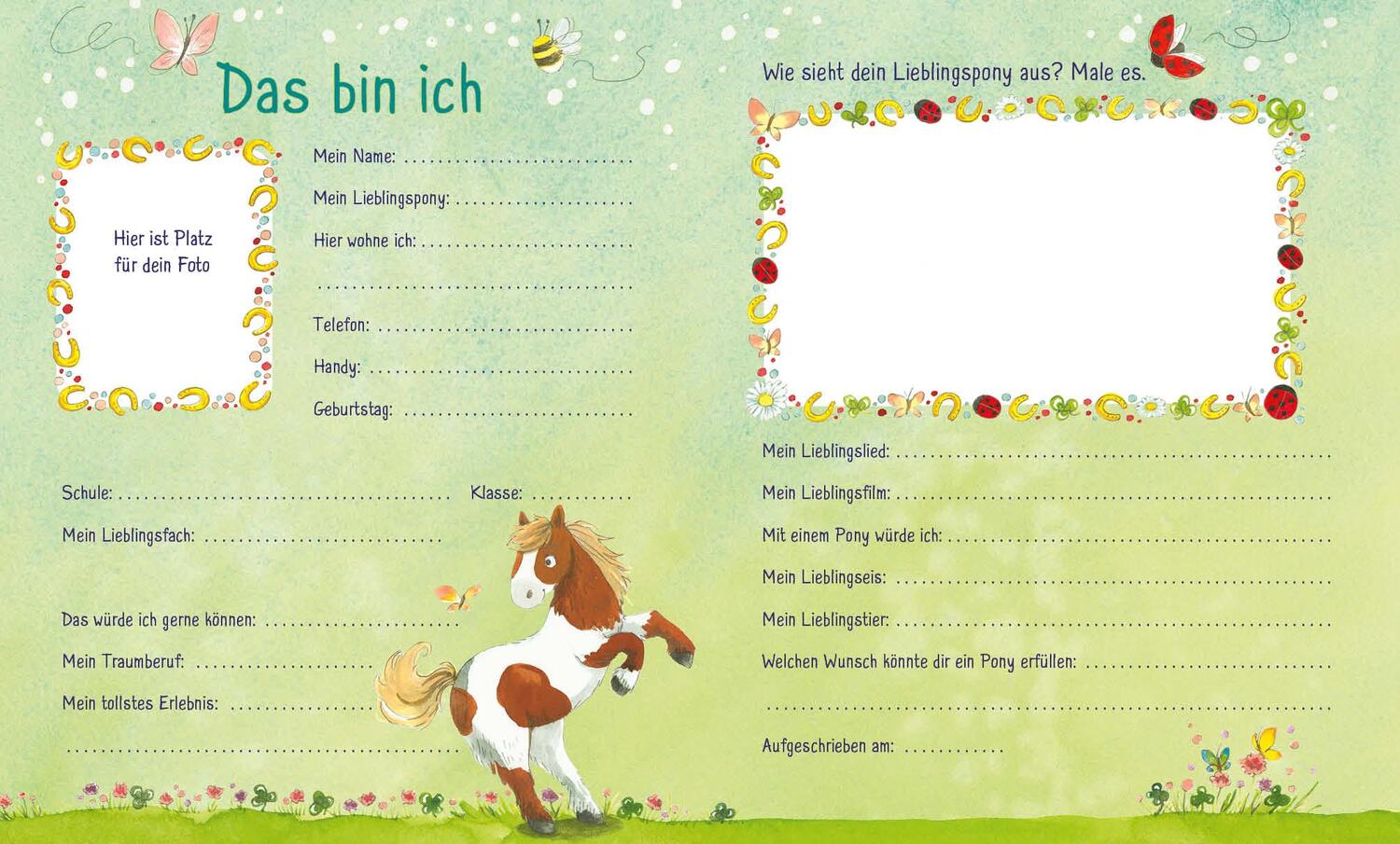 Bild: 9783743203051 | Meine Freunde (Ponys) | Erinnerungsbuch für Kinder ab 6 Jahre | Buch