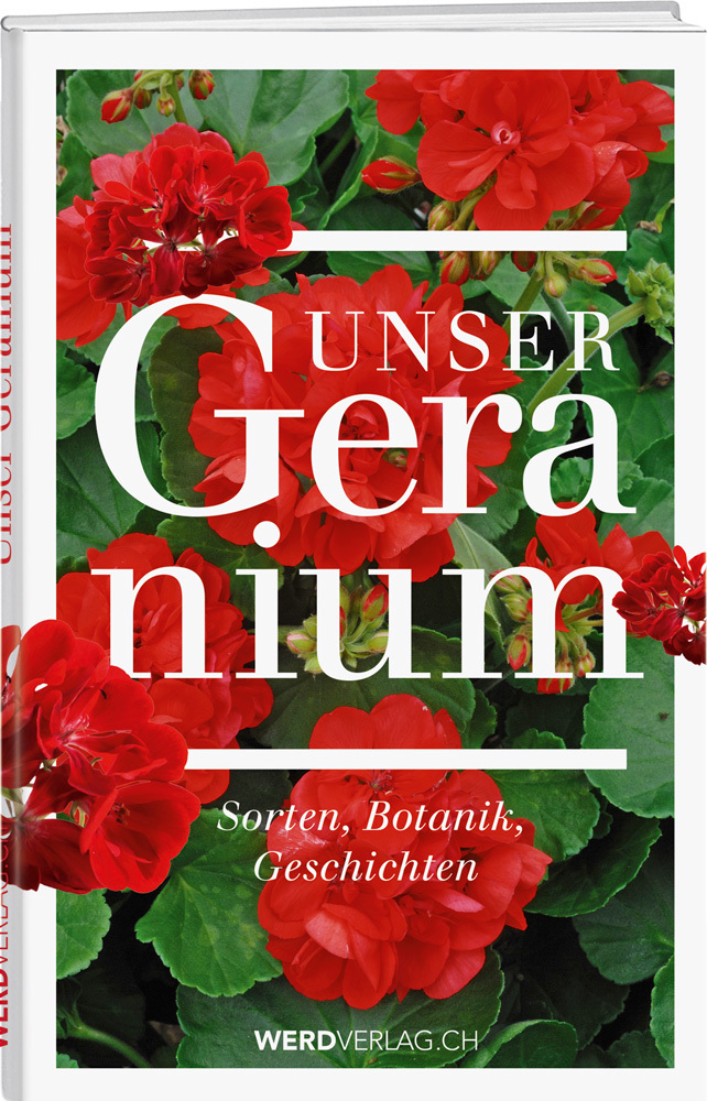 Cover: 9783859327818 | Unser Geranium | Sorten, Botanik, Geschichten | Beat Hächler (u. a.)