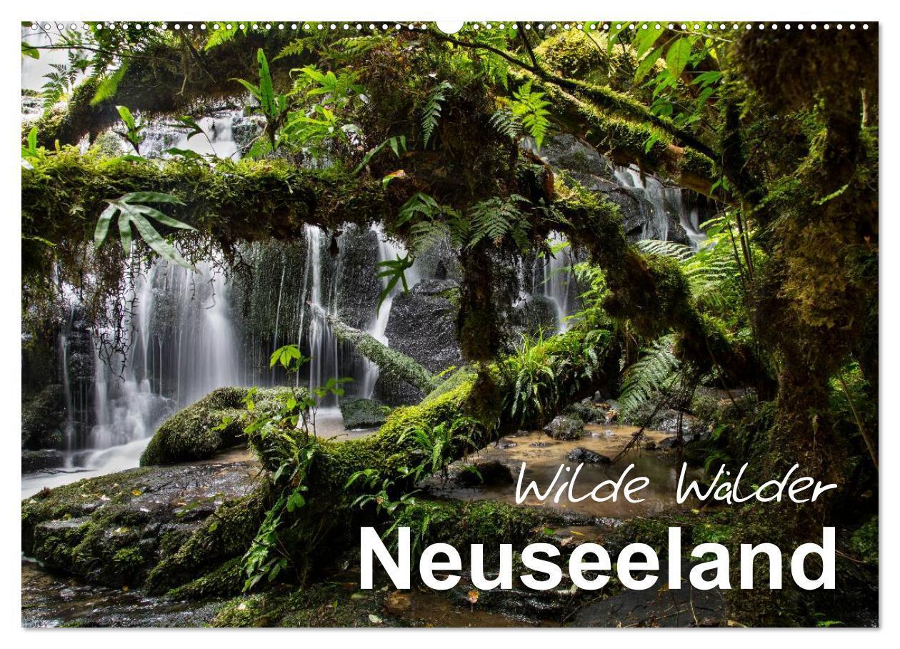 Cover: 9783383402395 | Neuseeland - Wilde Wälder (Wandkalender 2024 DIN A2 quer), CALVENDO...