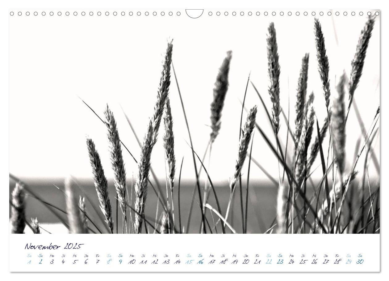 Bild: 9783435734726 | Meeresbilder - Nordsee-Impressionen (Wandkalender 2025 DIN A3...