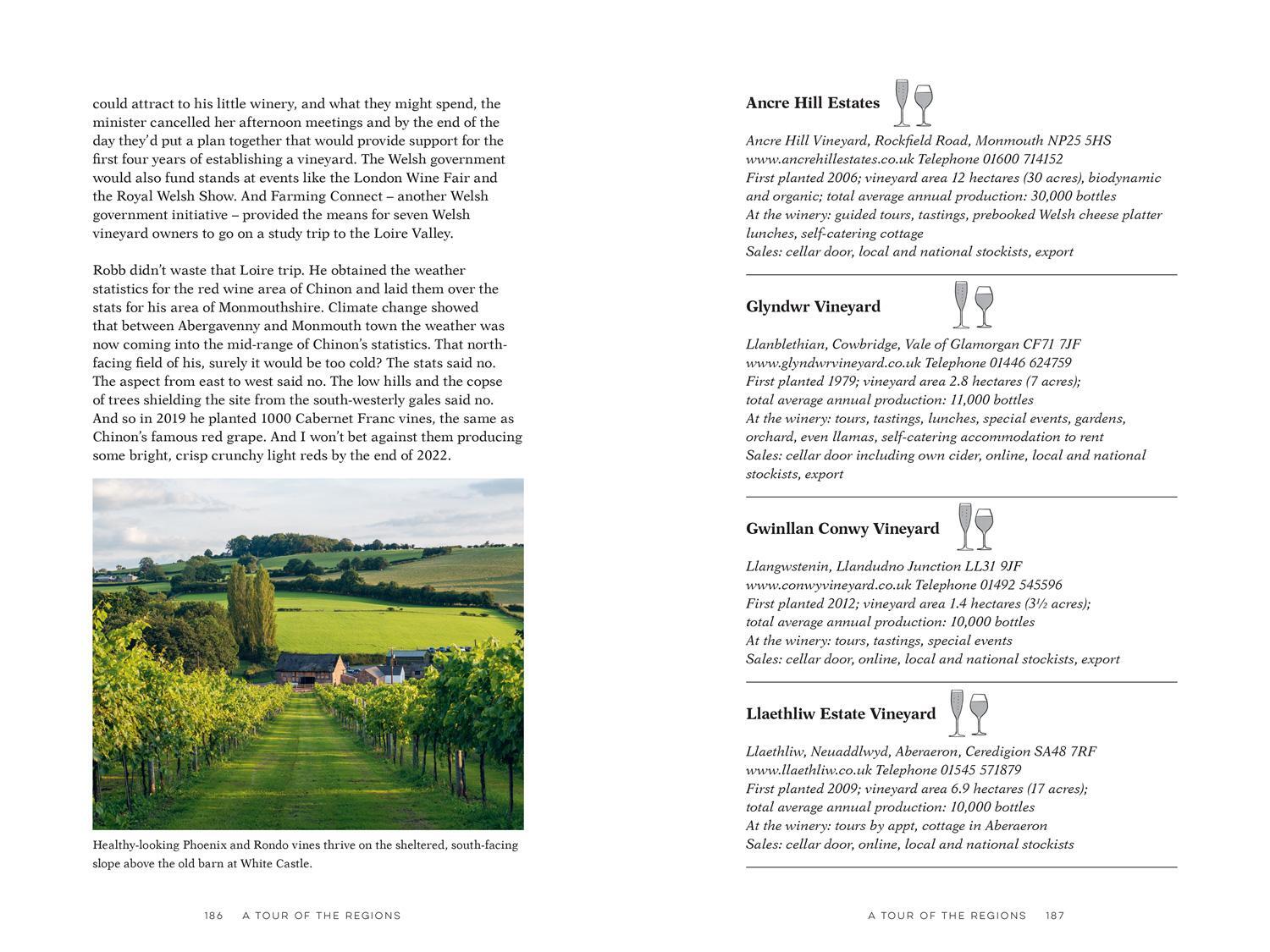 Bild: 9781911682752 | English Wine | Oz Clarke | Buch | Gebunden | Englisch | 2022