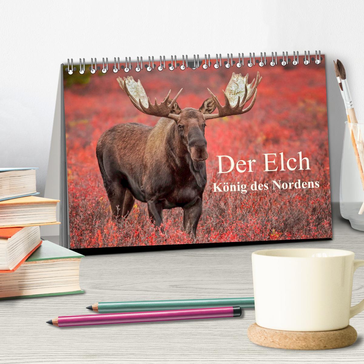 Bild: 9783435129089 | Der Elch - König des Nordens (Tischkalender 2025 DIN A5 quer),...