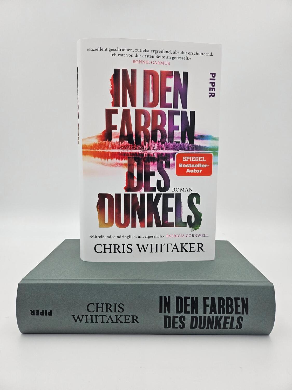 Bild: 9783492071536 | In den Farben des Dunkels | Chris Whitaker | Buch | 592 S. | Deutsch