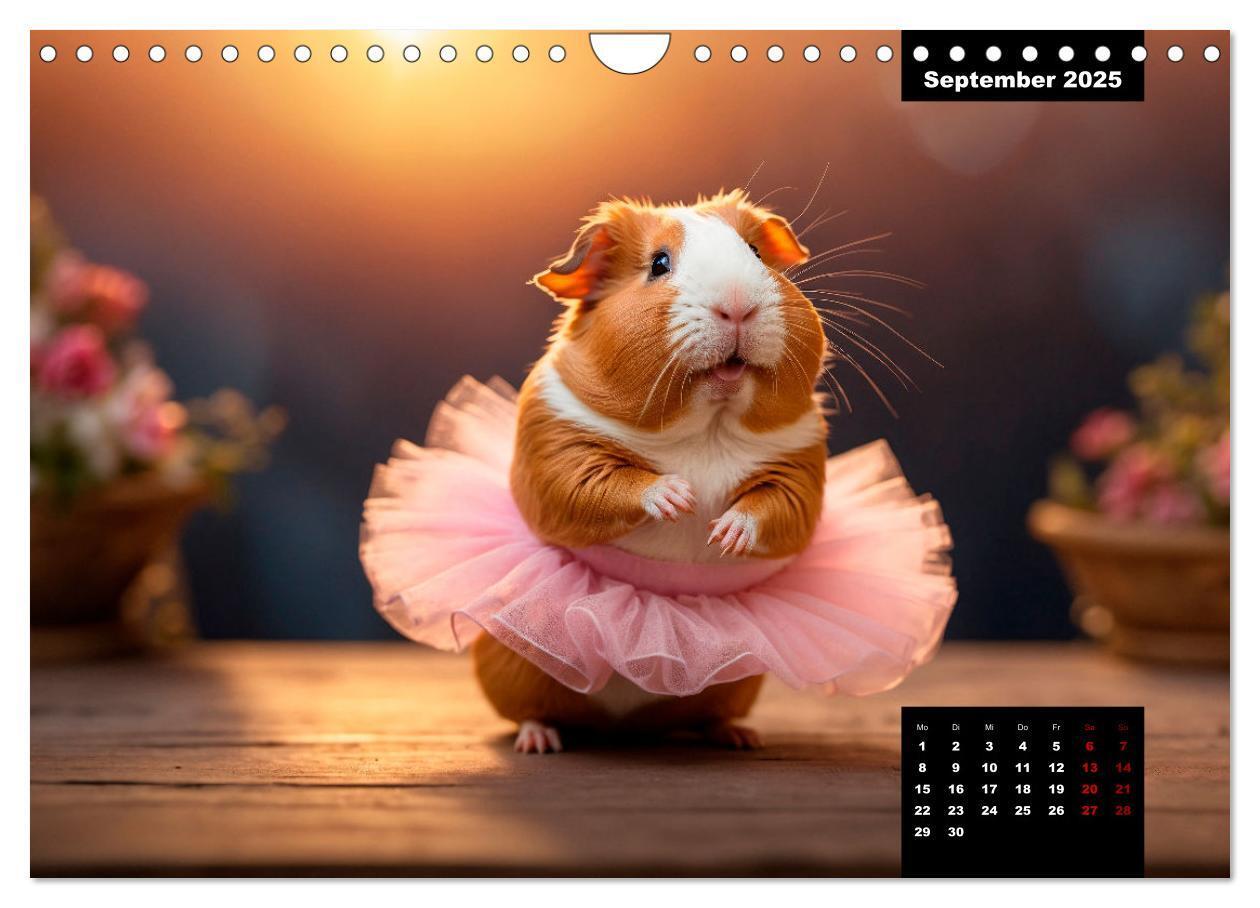 Bild: 9783435011865 | Meerschweinchen mal anders! (Wandkalender 2025 DIN A4 quer),...