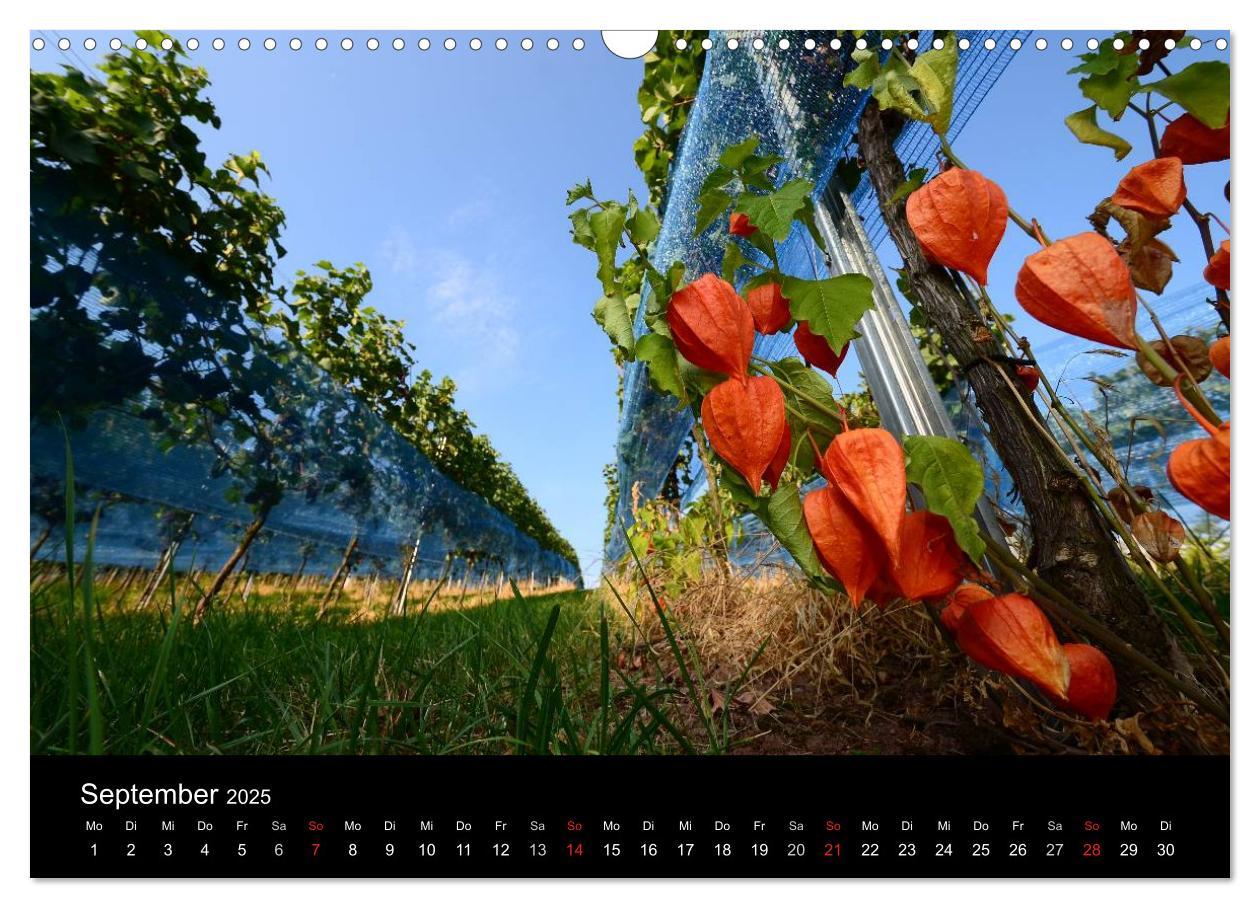 Bild: 9783435831548 | W.EINBLICK (Wandkalender 2025 DIN A3 quer), CALVENDO Monatskalender