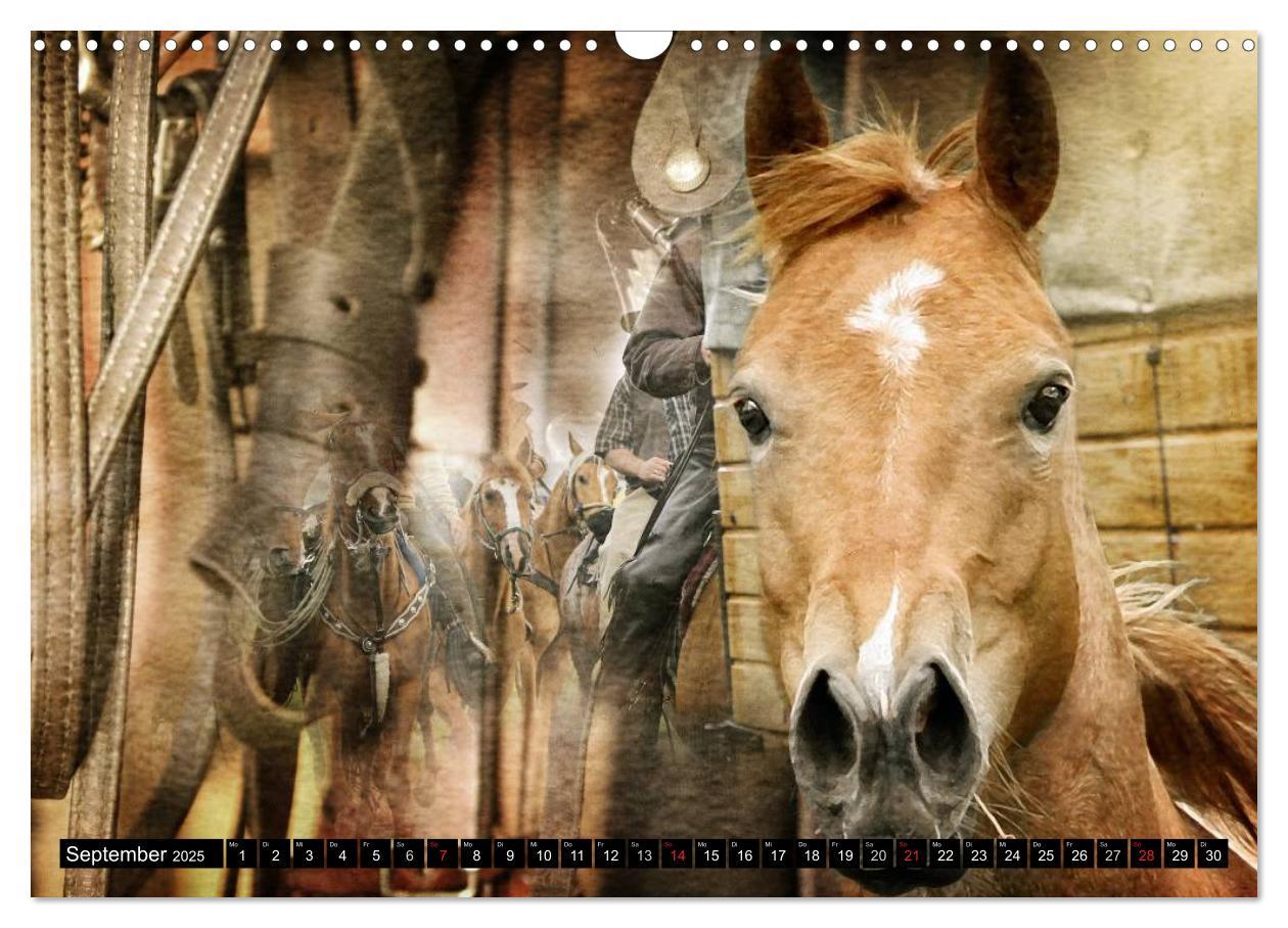 Bild: 9783435490158 | Western und Pferde (Wandkalender 2025 DIN A3 quer), CALVENDO...