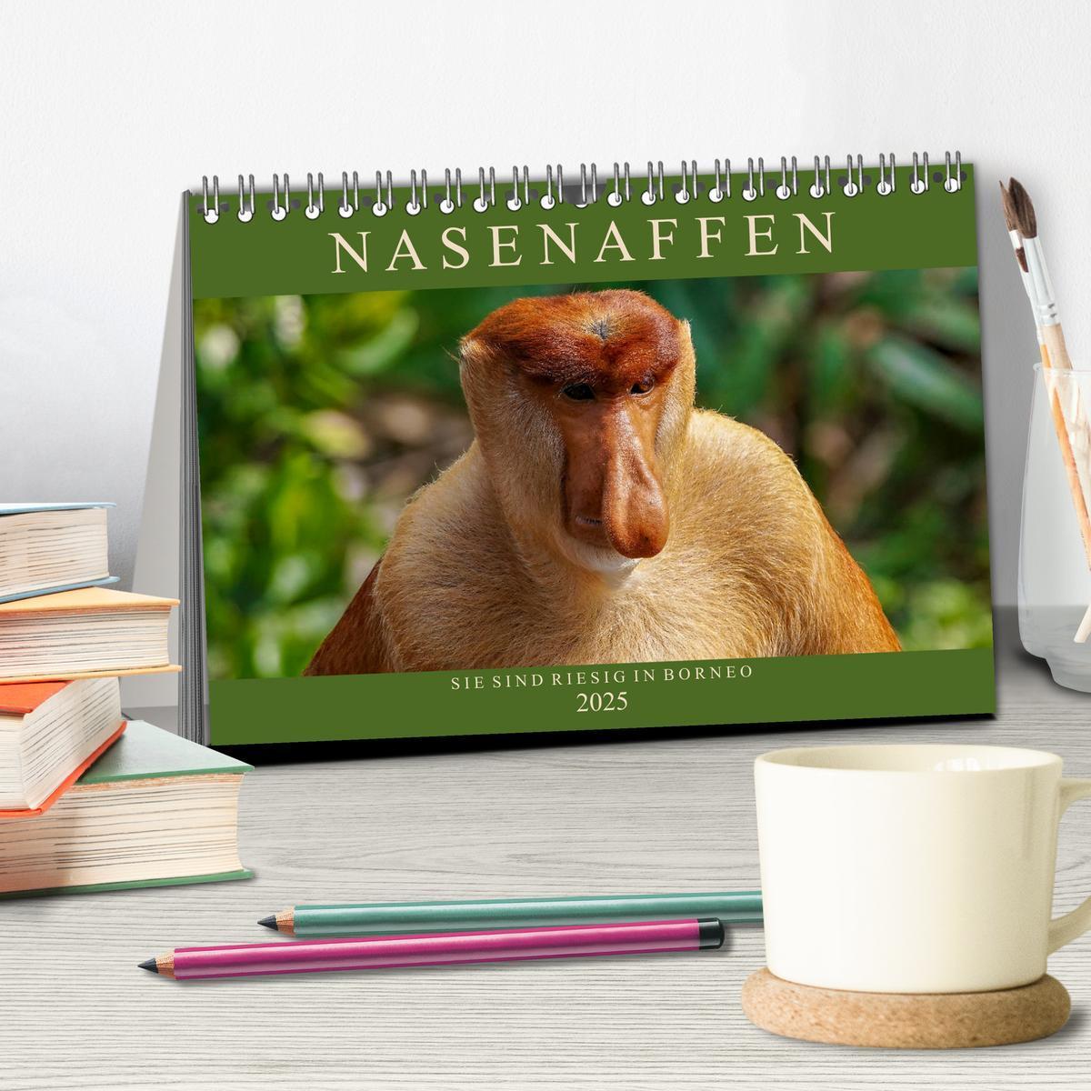 Bild: 9783435218004 | Nasenaffen von Borneo (Tischkalender 2025 DIN A5 quer), CALVENDO...