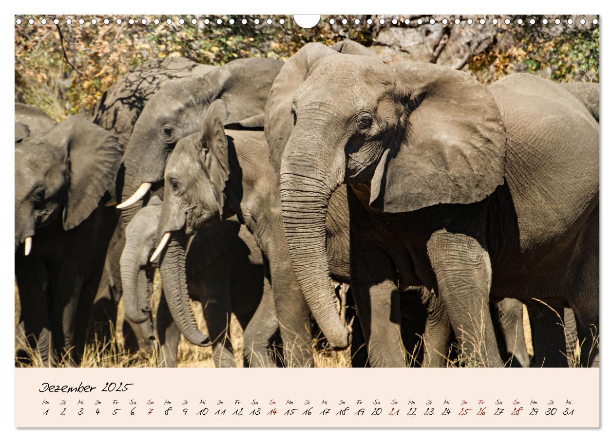 Bild: 9783435032327 | Namibia - Vom Sossusvlei bis zum Etosha Nationalpark (Wandkalender...