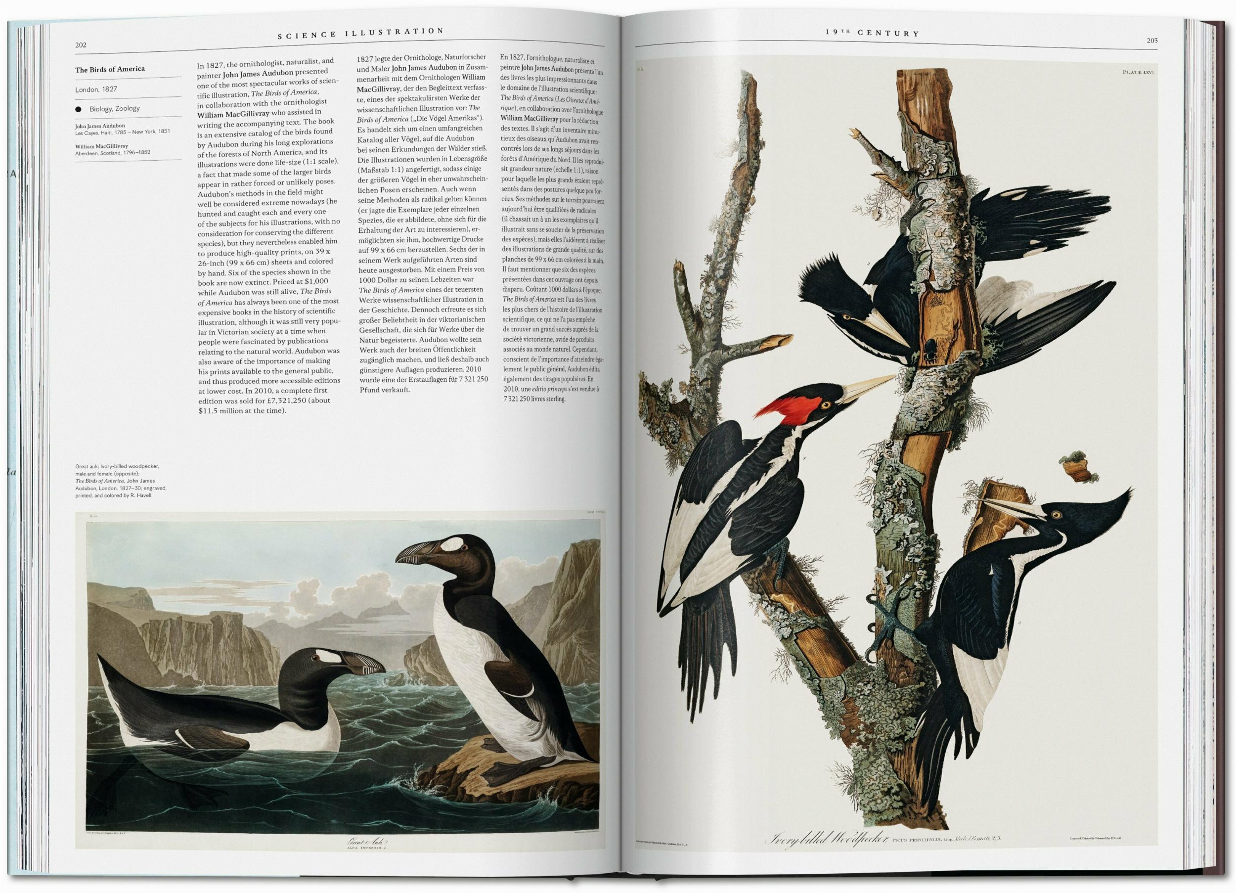 Bild: 9783836573320 | Science Illustration. A History of Visual Knowledge from the 15th...