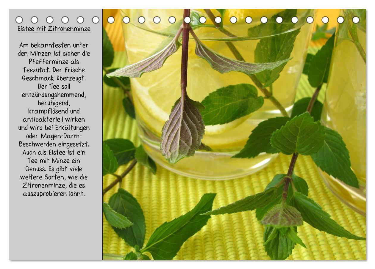 Bild: 9783435723263 | Eine kleine Teekunde - Zwölf Teesorten im Porträt (Tischkalender...