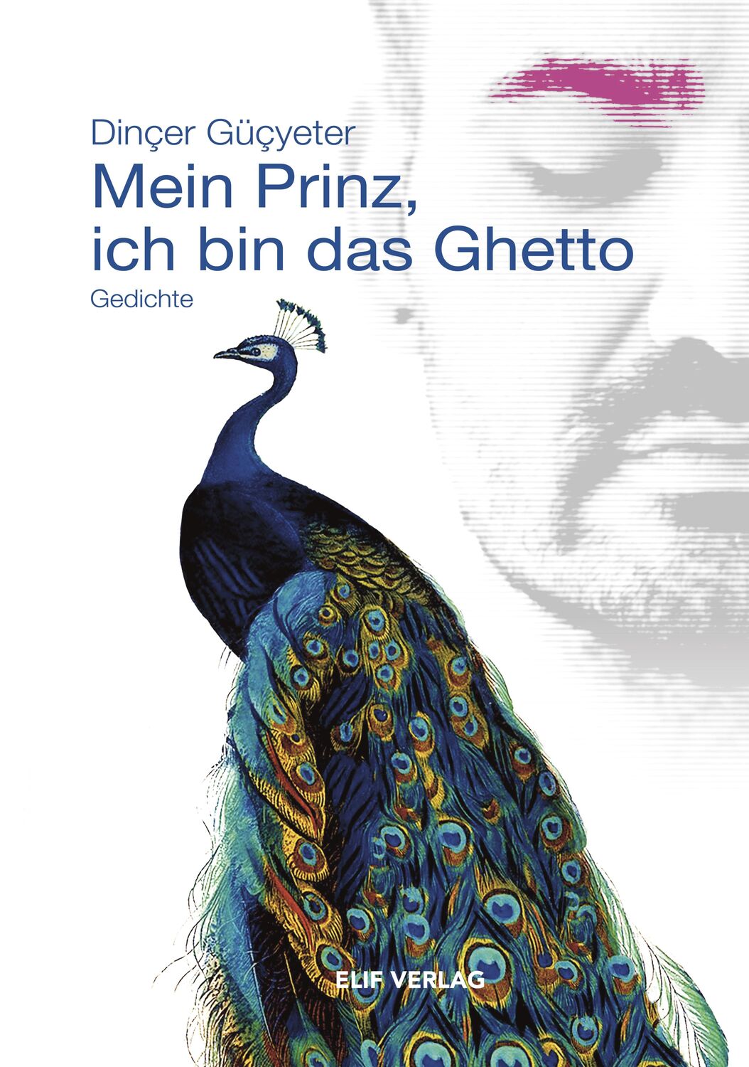 Cover: 9783946989424 | Mein Prinz, ich bin das Ghetto | Gedichte | Dinçer Güçyeter | Buch