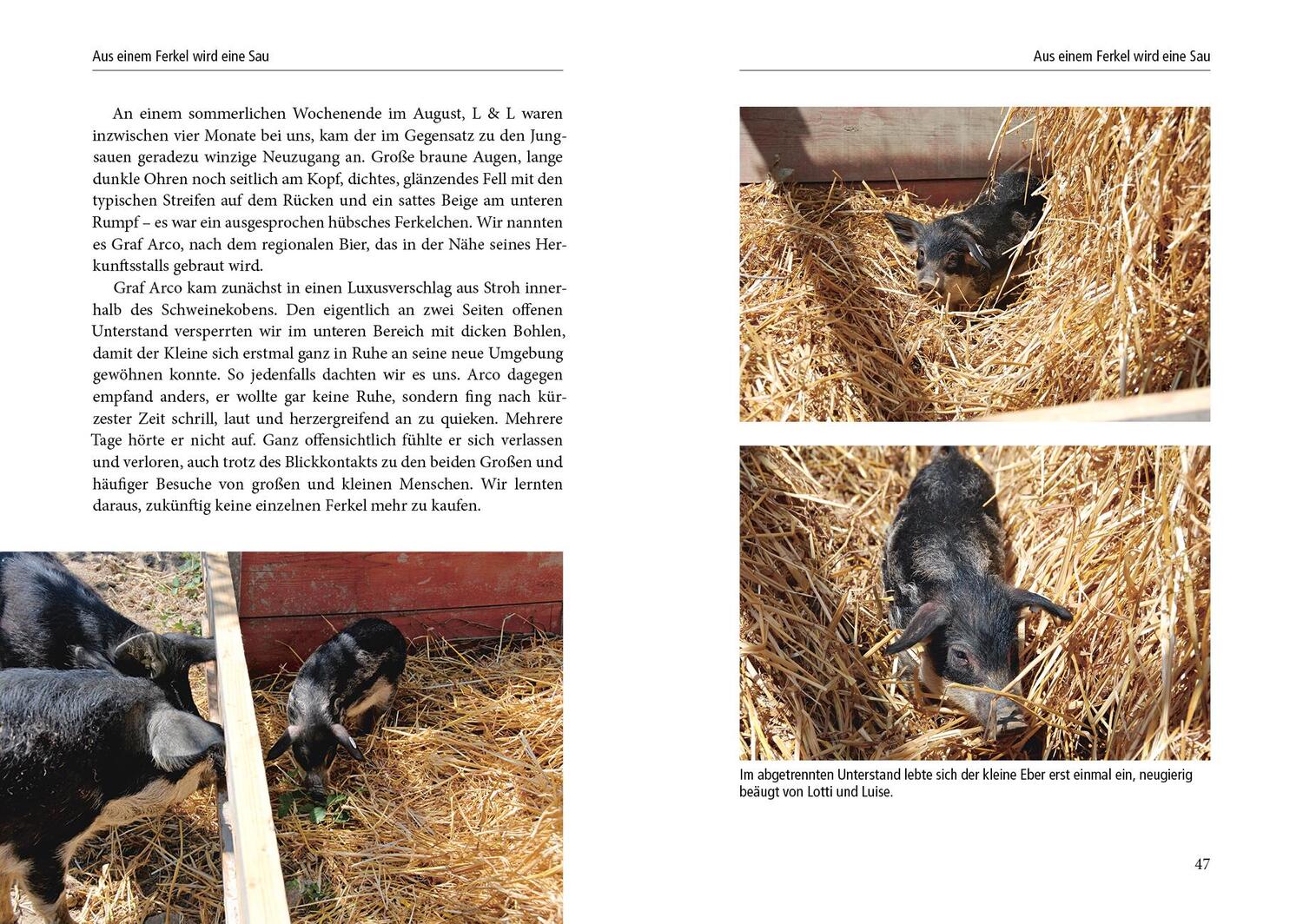Bild: 9783895663604 | Vom Glück, Schweine zu hüten | Nina Dittmann | Buch | 144 S. | Deutsch