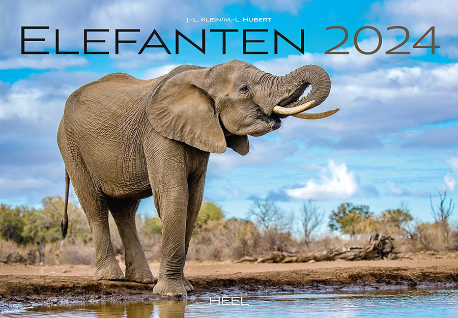 Cover: 9783966646154 | Elefanten Kalender 2024 | Klein | Kalender | Spiralbindung | 14 S.