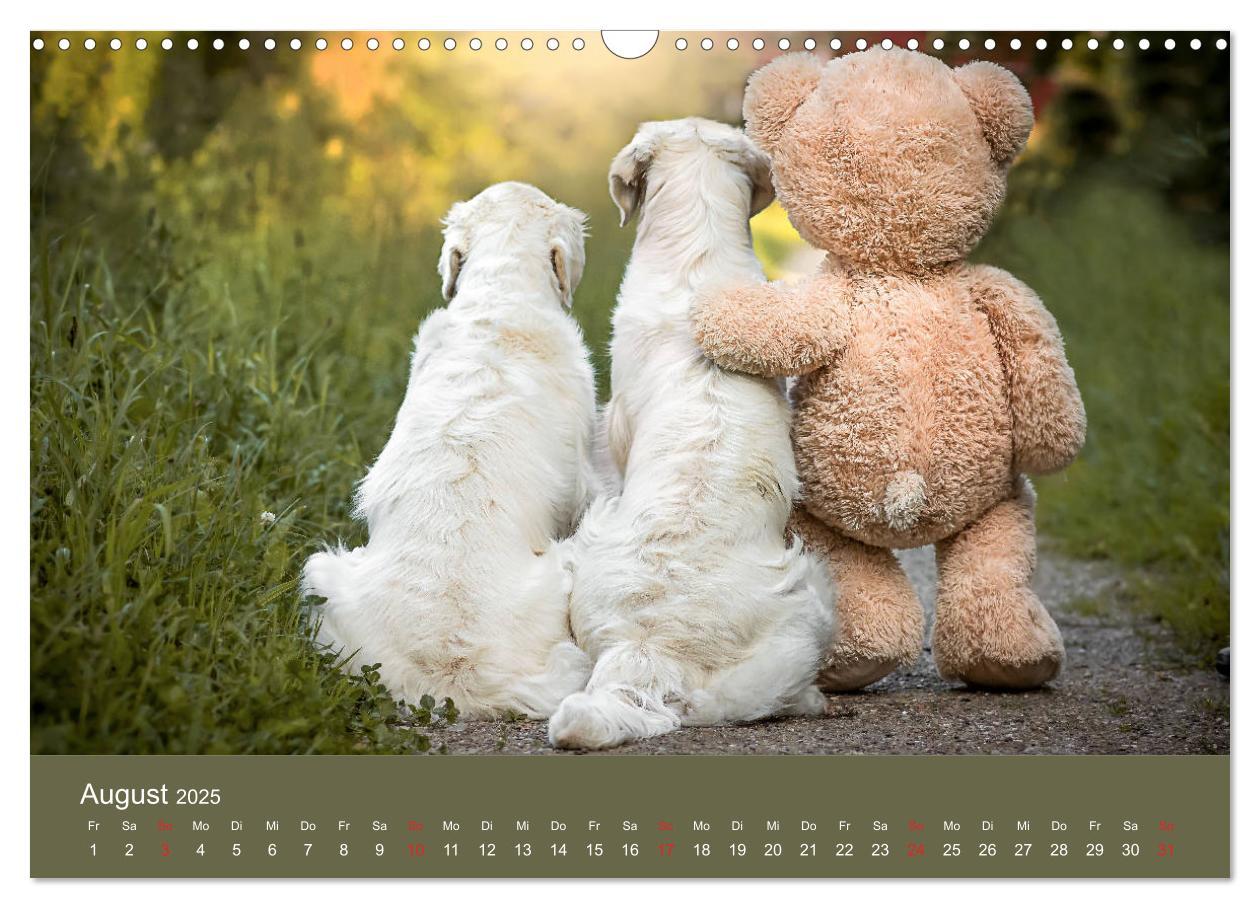 Bild: 9783435153480 | Grace und Cuba - Das verrückte Leben der Golden Girls (Wandkalender...