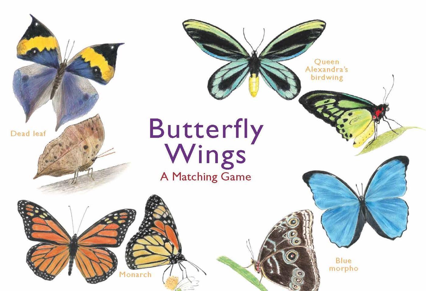 Cover: 9781786272850 | Butterfly Wings: A Matching Game | Spiel | Englisch | 2019