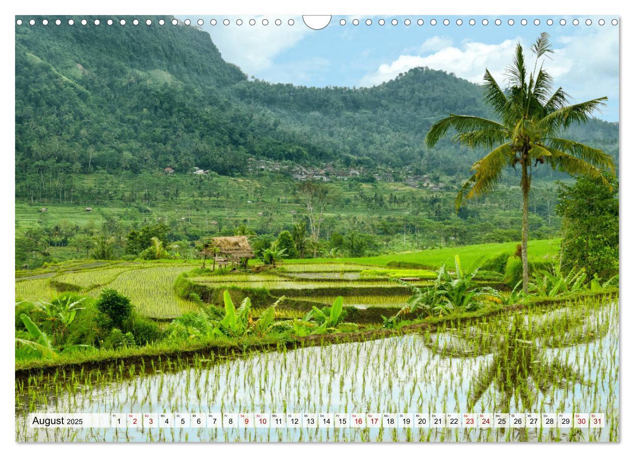 Bild: 9783435128143 | Sehnsucht nach Bali (Wandkalender 2025 DIN A3 quer), CALVENDO...