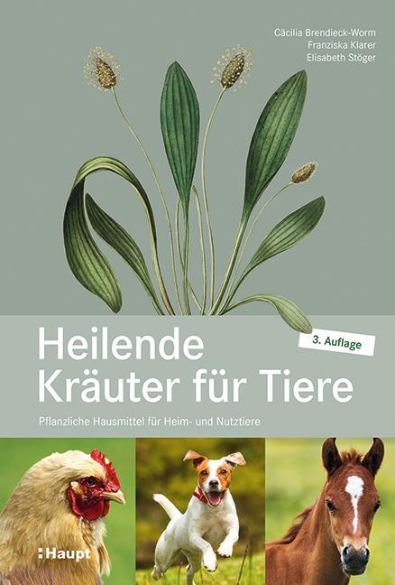 Cover: 9783258082271 | Heilende Kräuter für Tiere | Cäcilia Brendieck-Worm (u. a.) | Buch