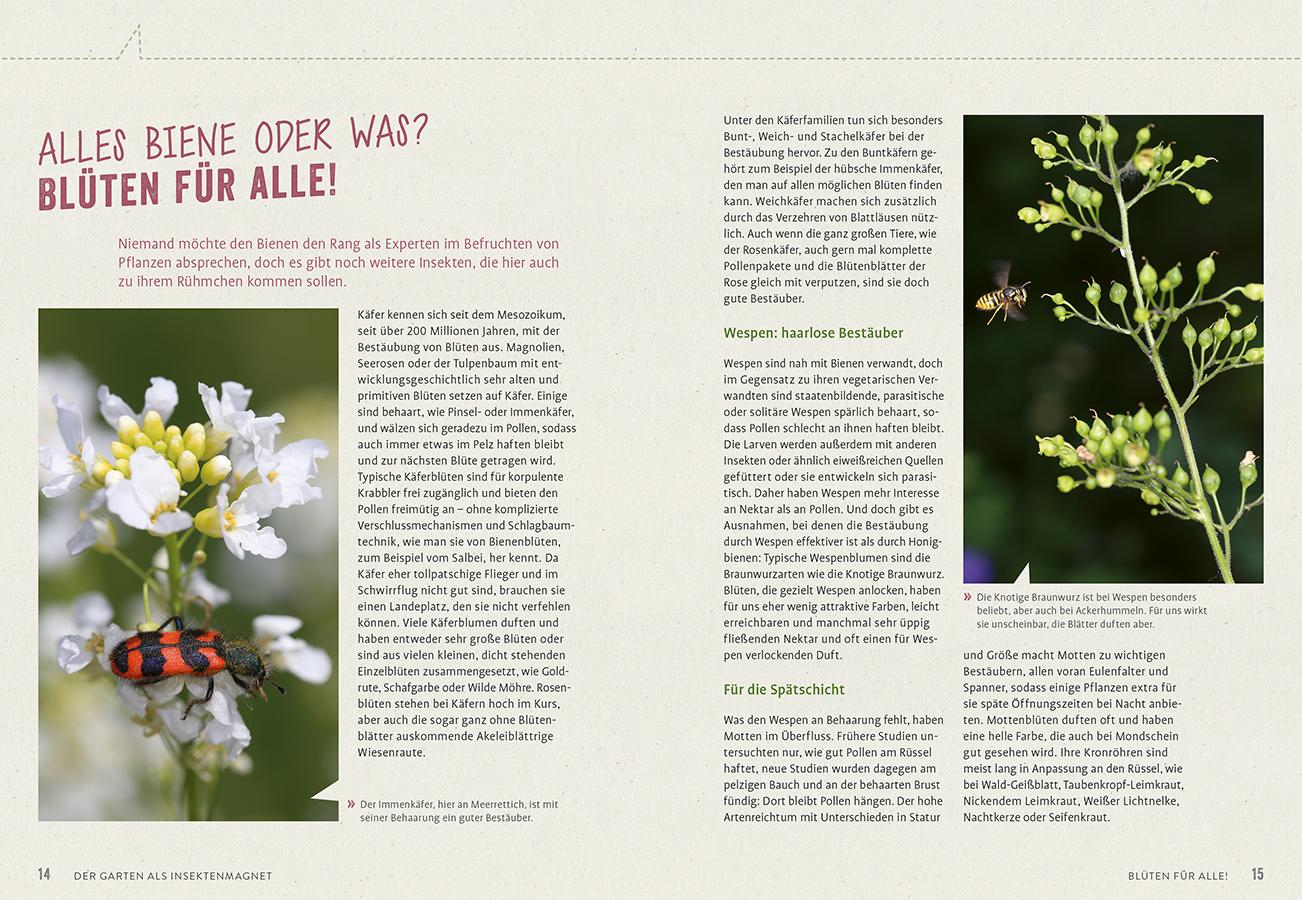 Bild: 9783818623906 | Richtig gute Pflanzen für Insekten | Elke Schwarzer | Taschenbuch