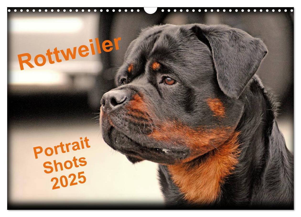 Cover: 9781325956319 | Rottweiler Portait Shots 2025 (Wall Calendar 2025 DIN A3...