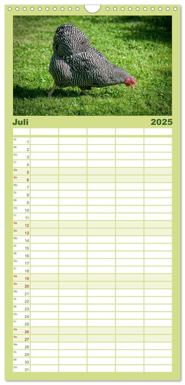 Bild: 9783457116302 | Familienplaner 2025 - Gartenhühner mit 5 Spalten (Wandkalender, 21...