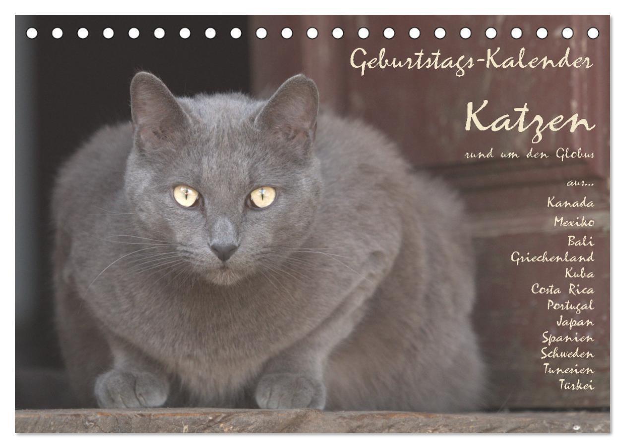 Cover: 9783675800274 | Geburtstags-Kalender Katzen... rund um den Globus (Tischkalender...