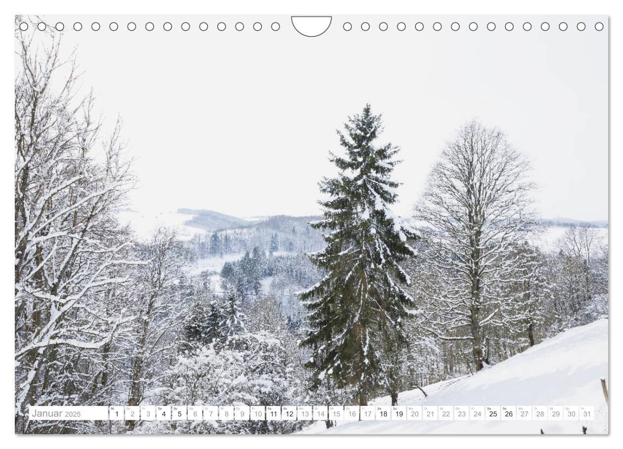 Bild: 9783435139569 | Eifel Sehnsucht (Wandkalender 2025 DIN A4 quer), CALVENDO...