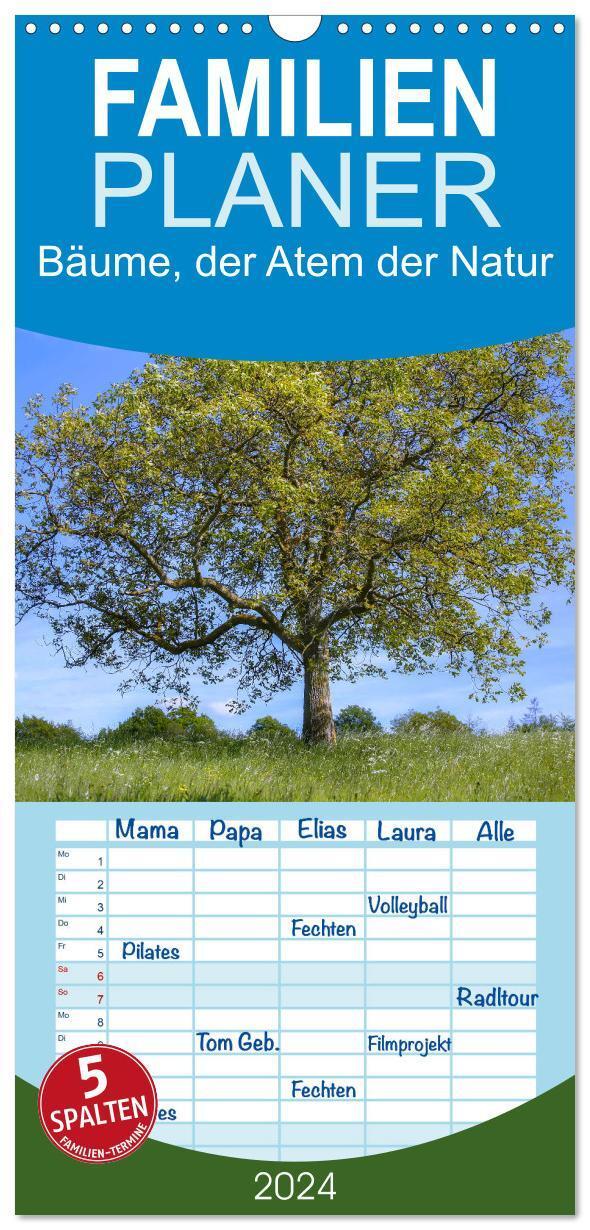 Cover: 9783675780750 | Familienplaner 2024 - Bäume, der Atem der Natur mit 5 Spalten...