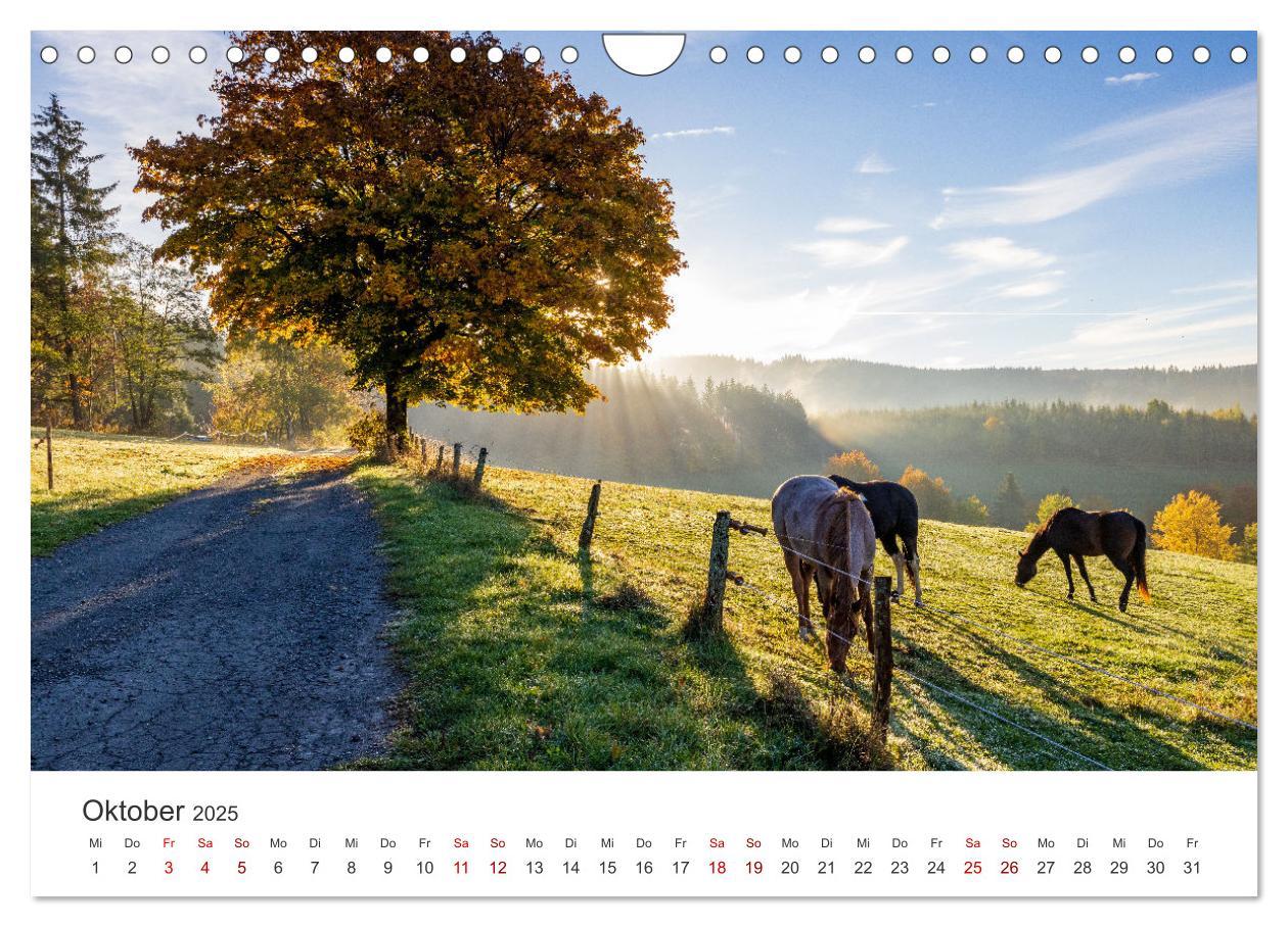 Bild: 9783435018659 | Nordenau - Die Perle des Hochsauerlandes (Wandkalender 2025 DIN A4...