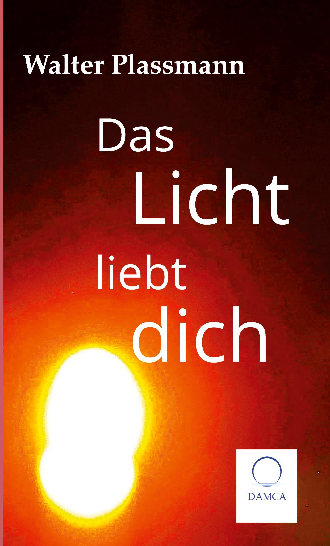 Cover: 9783910853003 | Das Licht liebt Dich | Ein Roman über Dinge des Lebens | Plassmann