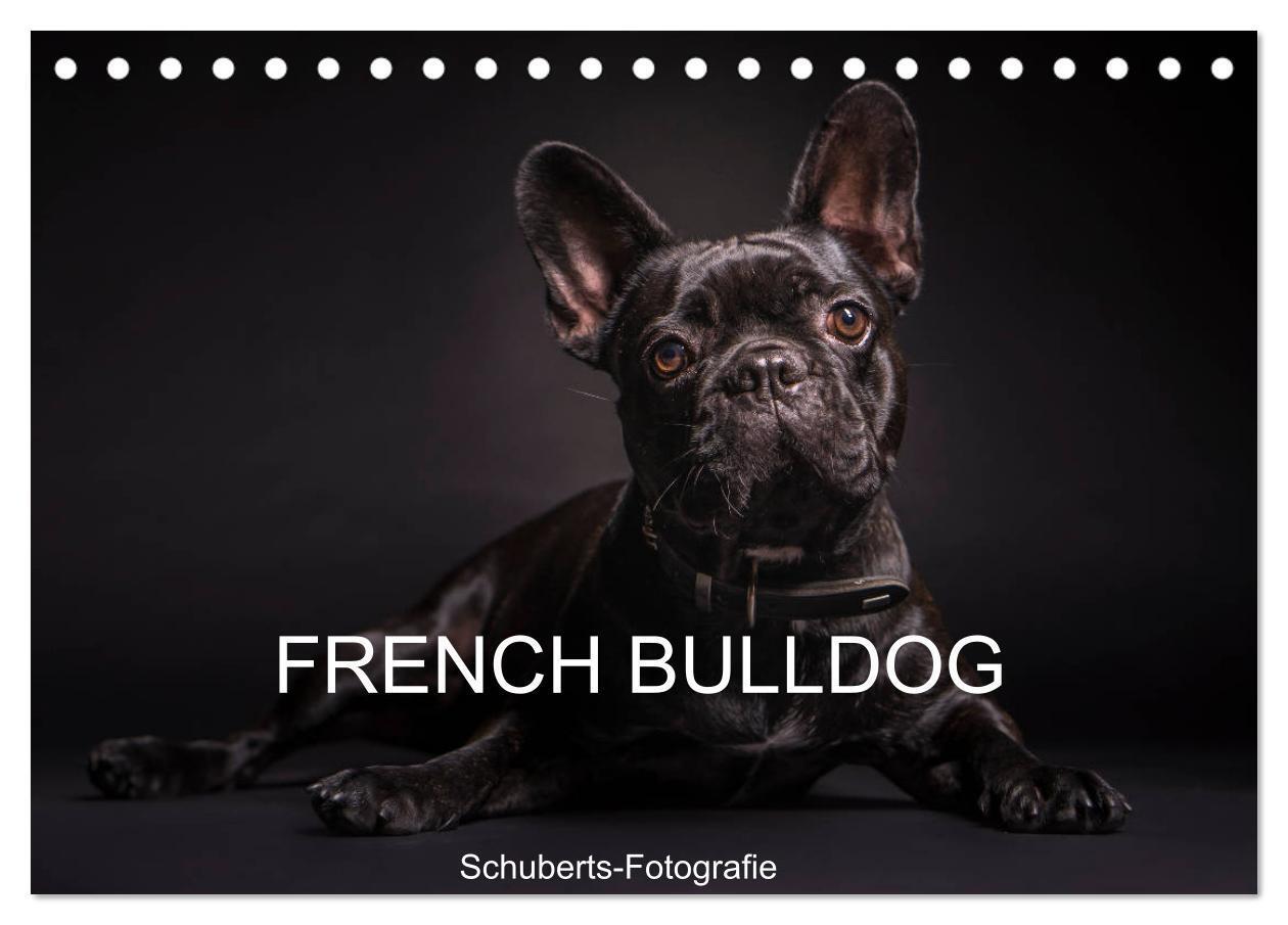 Cover: 9783675571792 | French Bulldog (Tischkalender 2024 DIN A5 quer), CALVENDO...