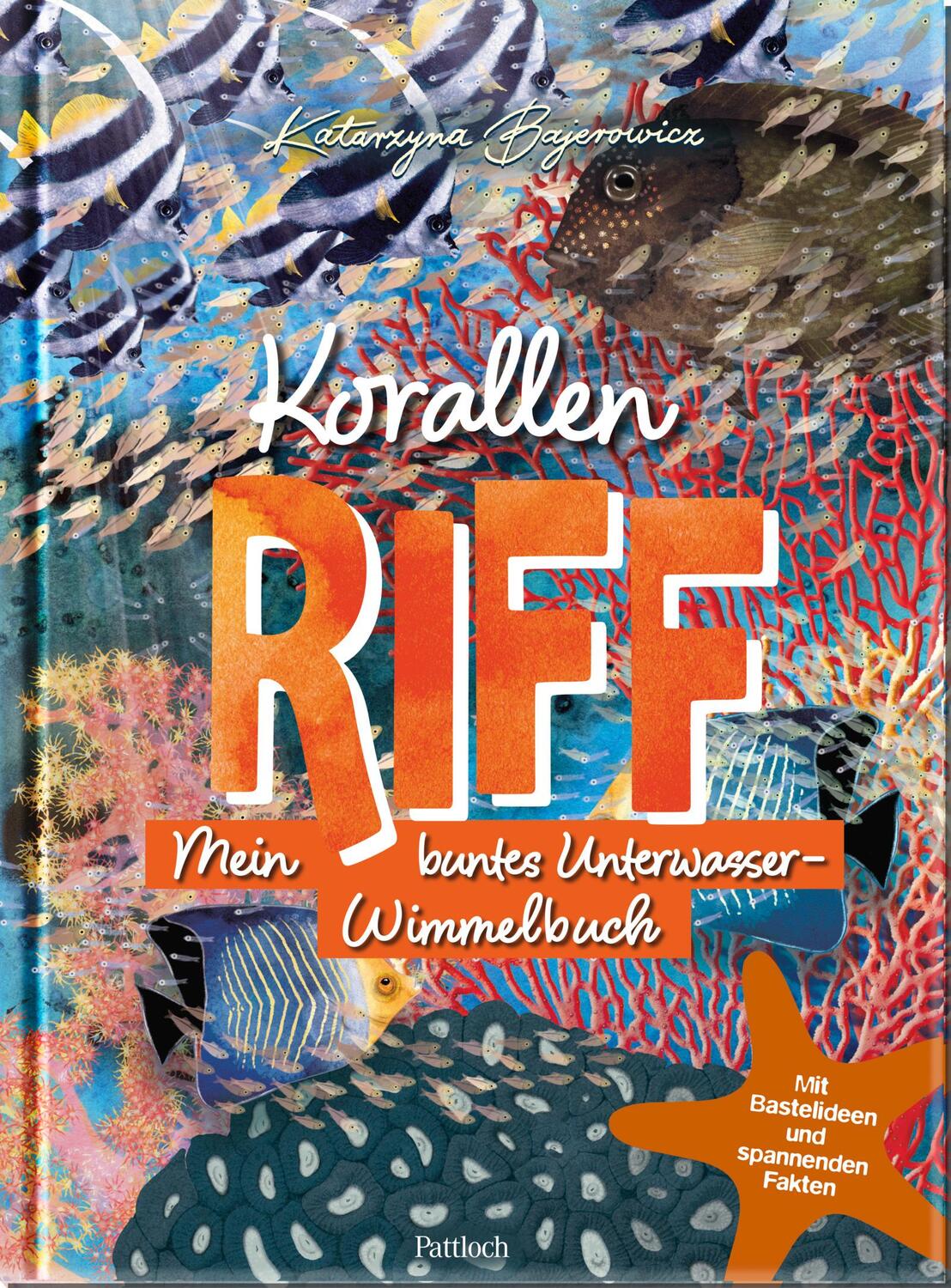 Cover: 9783629010728 | Korallenriff | Buch | 32 S. | Deutsch | 2024 | Pattloch Geschenkbuch