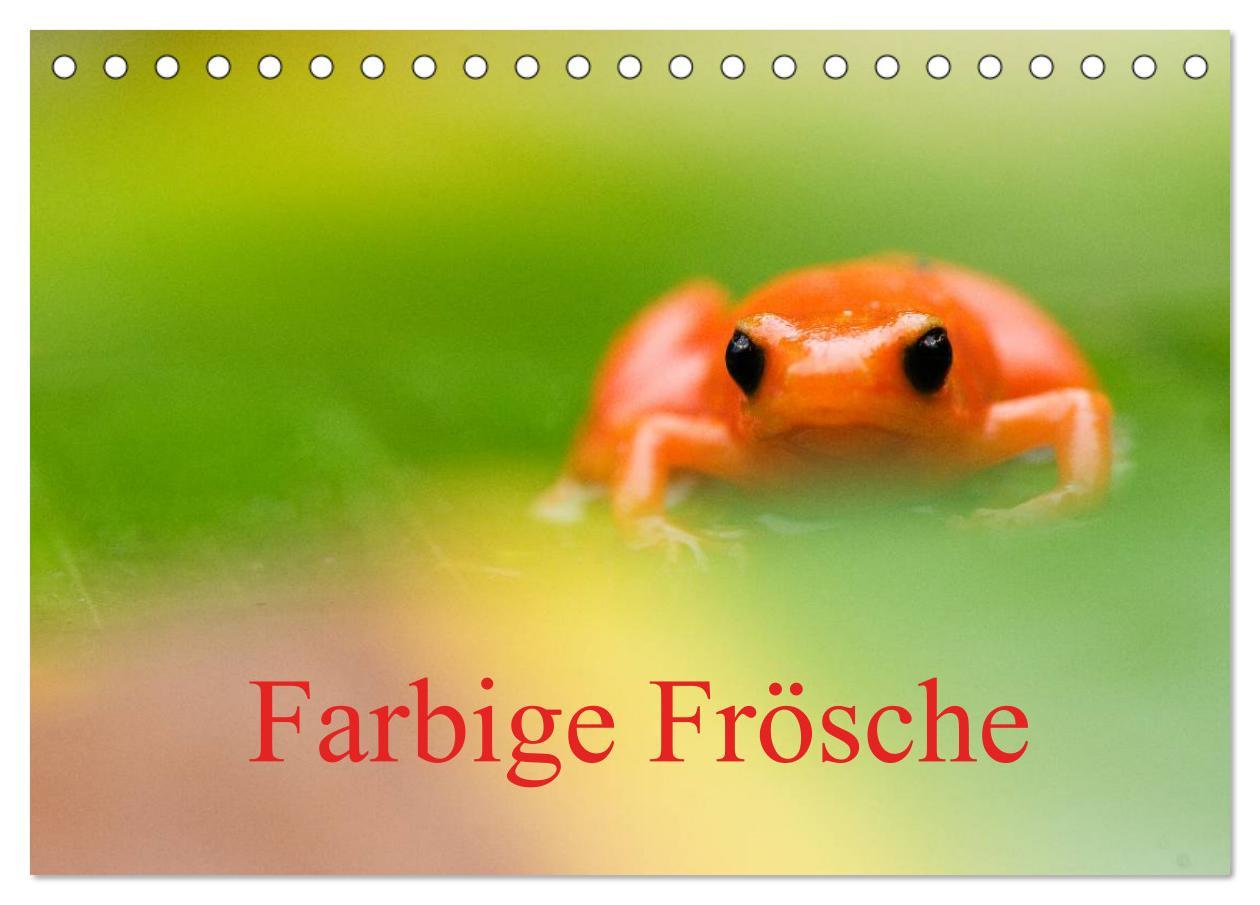 Cover: 9783435705405 | Farbige Frösche (Tischkalender 2025 DIN A5 quer), CALVENDO...