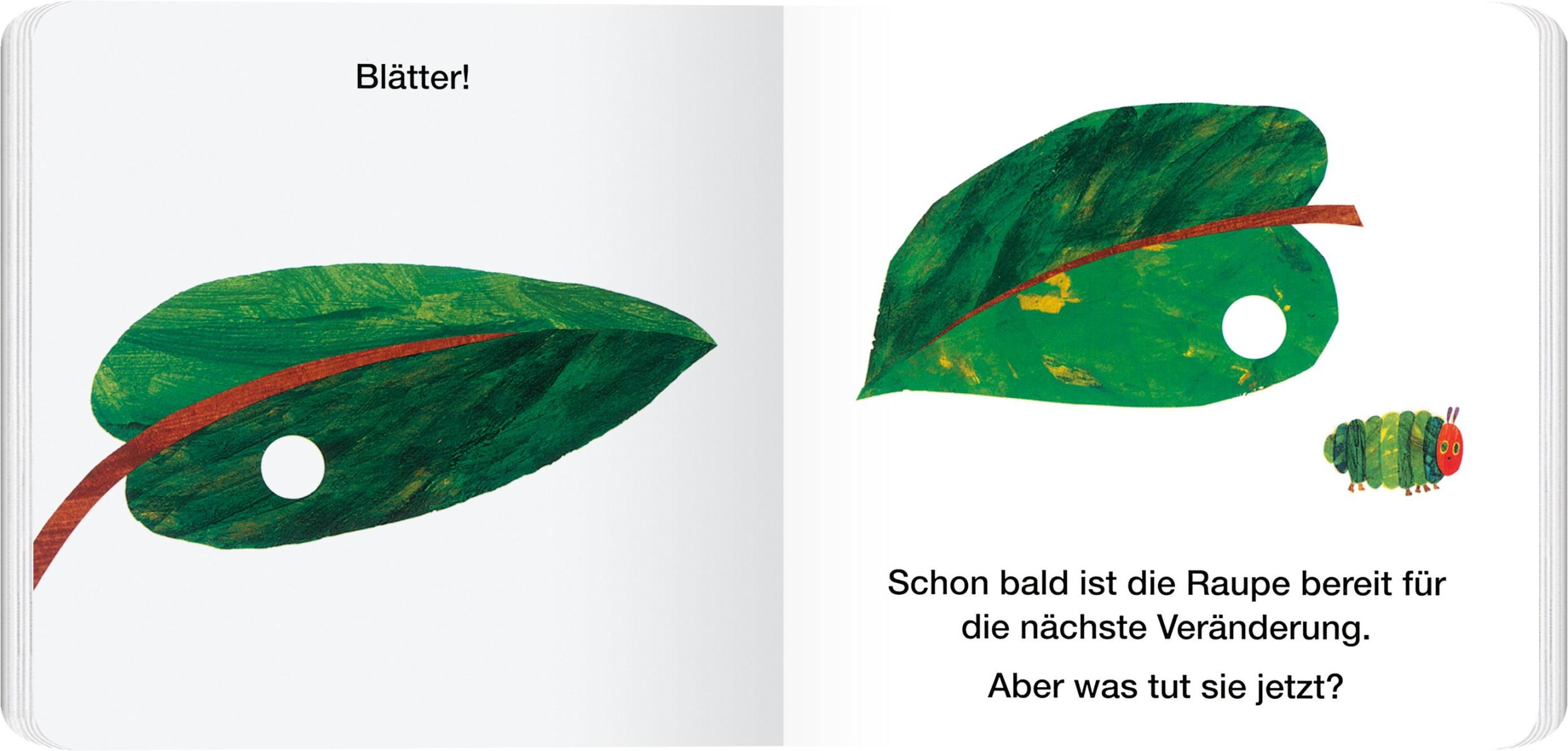 Bild: 9783836963008 | Von der Raupe zum Schmetterling | Eric Carle | Buch | 12 S. | Deutsch