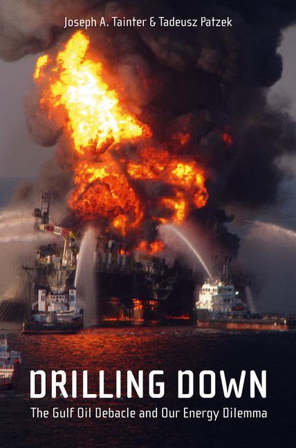 Cover: 9781441976765 | Drilling Down | The Gulf Oil Debacle and Our Energy Dilemma | Buch