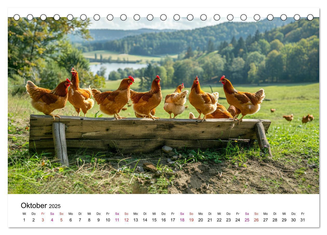 Bild: 9783457174951 | Hühner Federvieh (Tischkalender 2025 DIN A5 quer), CALVENDO...